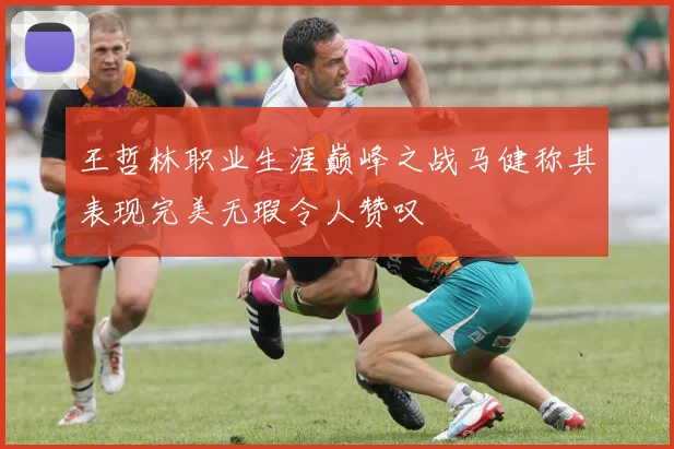 王哲林职业生涯巅峰之战马健称其表现完美无瑕令人赞叹
